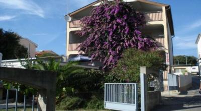 Apartments Duhović