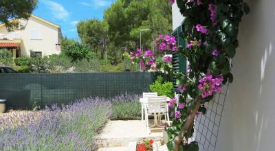 Studio Lavanda