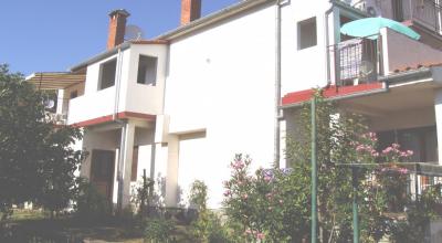 Apartments Martin